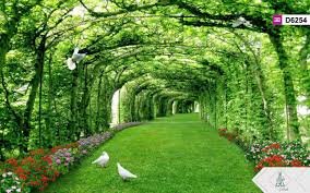 ناشناس گل مازرون